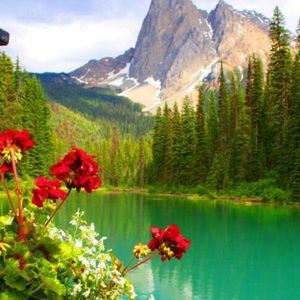 Meet your Posher, Kiran